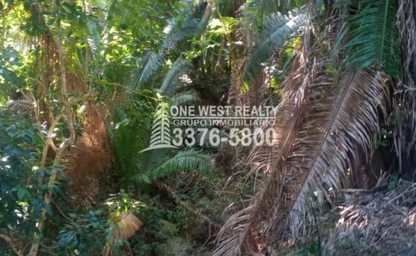 La Ceiba Honduras 34 Acres of Land for Sale with an Amazing Ocean View