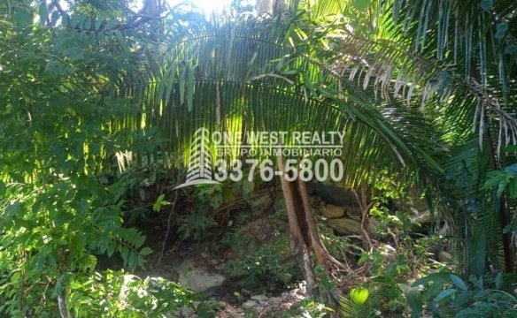 La Ceiba Honduras 34 Acres of Land for Sale with an Amazing Ocean View