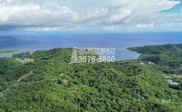Development,Roatan Honduras, Land For Sales 17.15 ACRES