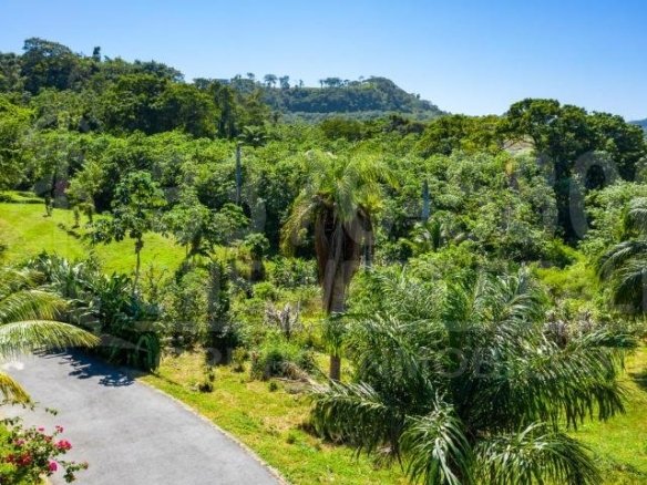 Ocean View Lot 11 Coral Views Village Roatan