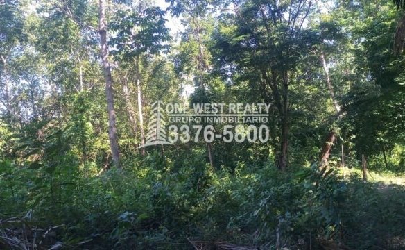 La Ceiba Honduras Venta de Terreno con Vista a Cayos Cochinos