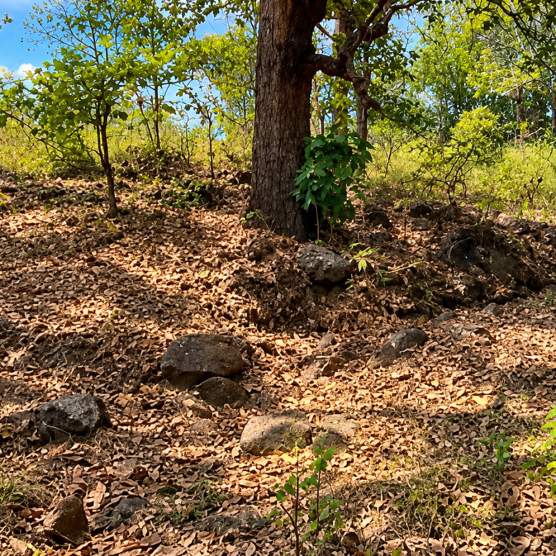 Terreno en Venta – Uyuca, Francisco Morazán