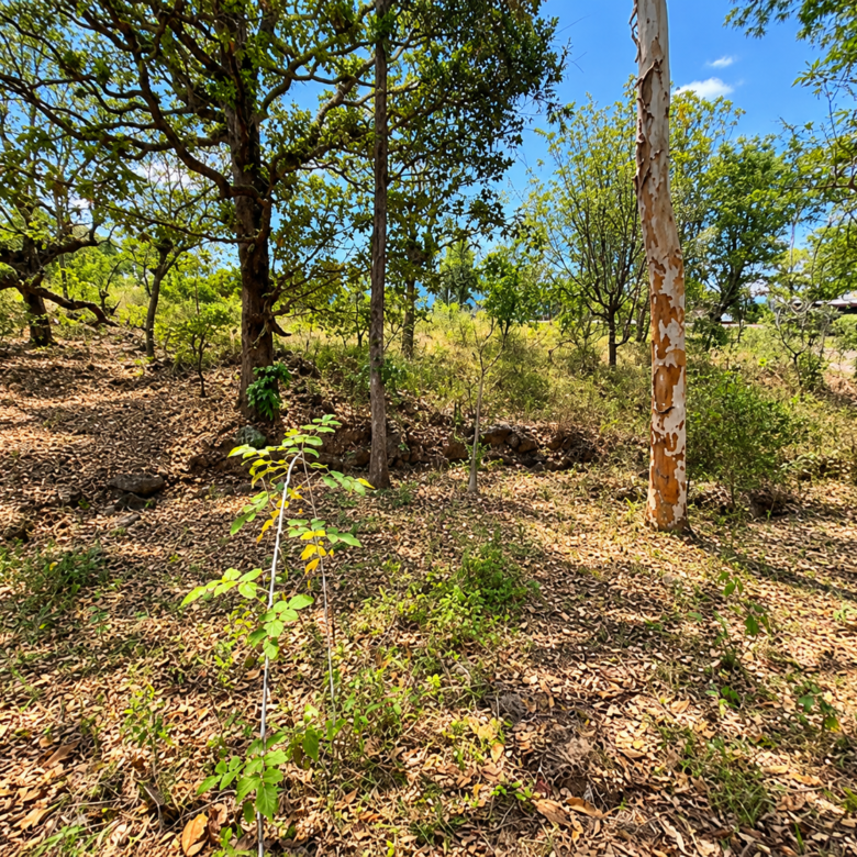 Terreno en Venta – Uyuca, Francisco Morazán