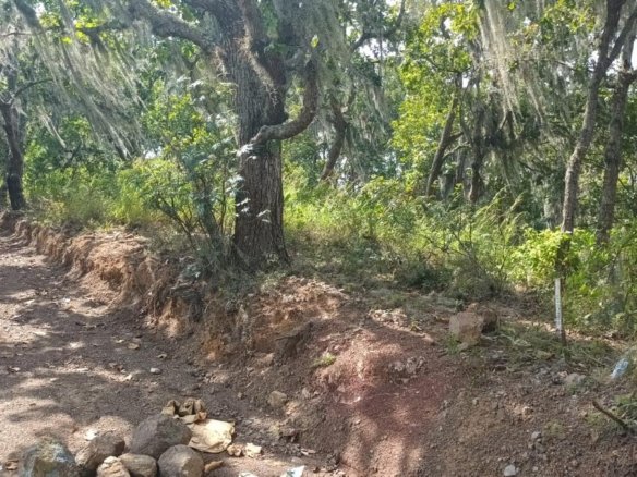 Terreno en Alquiler – El Chimbo, Tegucigalpa